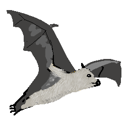 bat