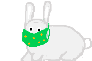 a bunny