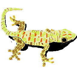 a lizard