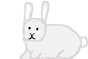 a gray bunny