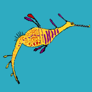 a cartoon weedy seadragon